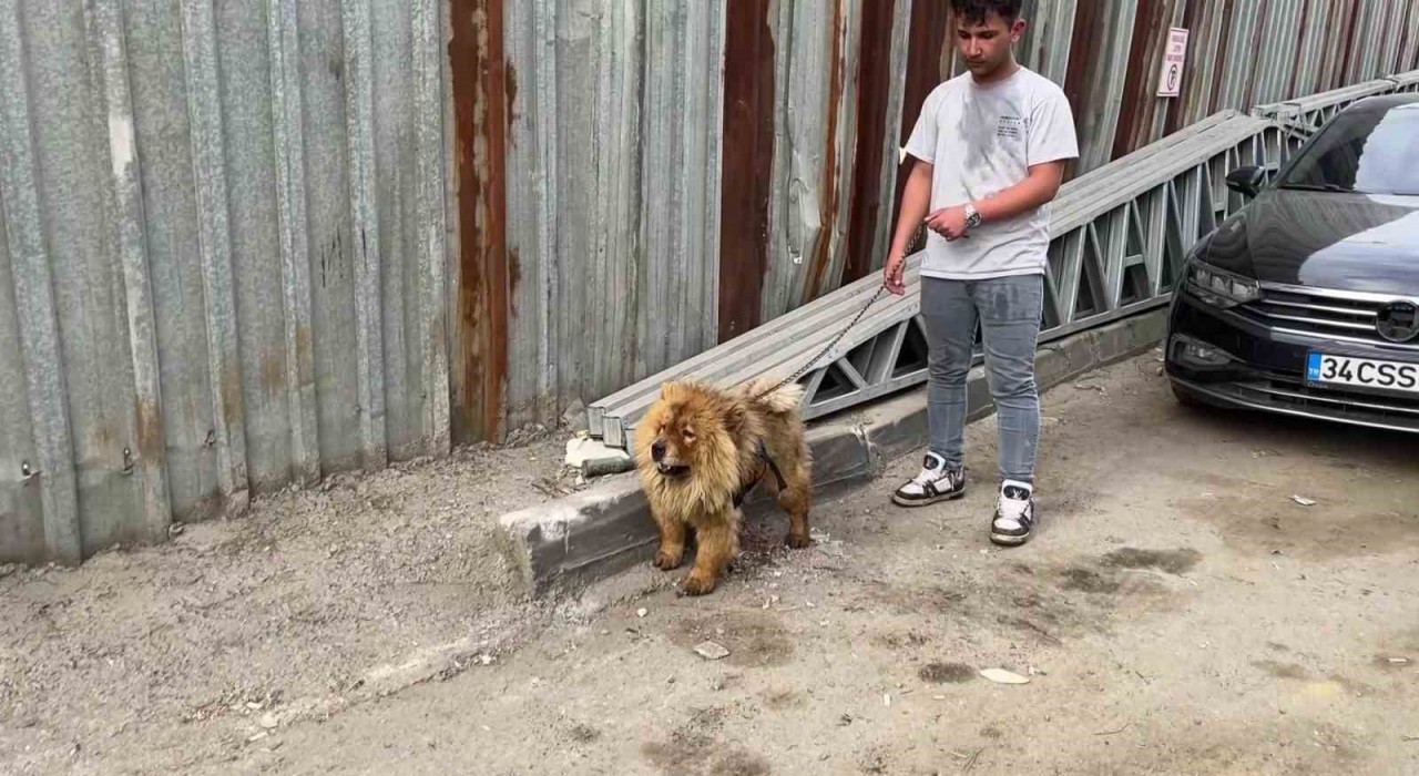 Gebzede hurdalık alanda yangın: Gökyüzü siyaha büründü