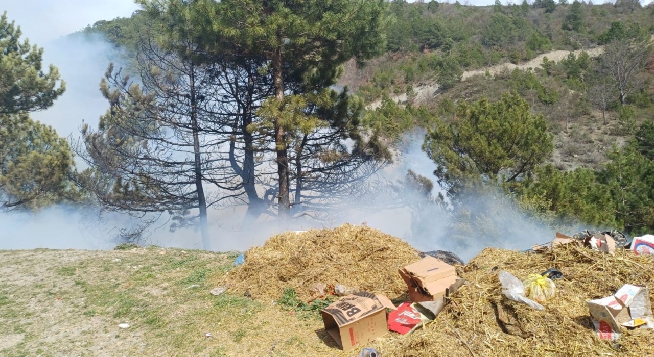 Gedizde orman yangını kontrol altına alındı