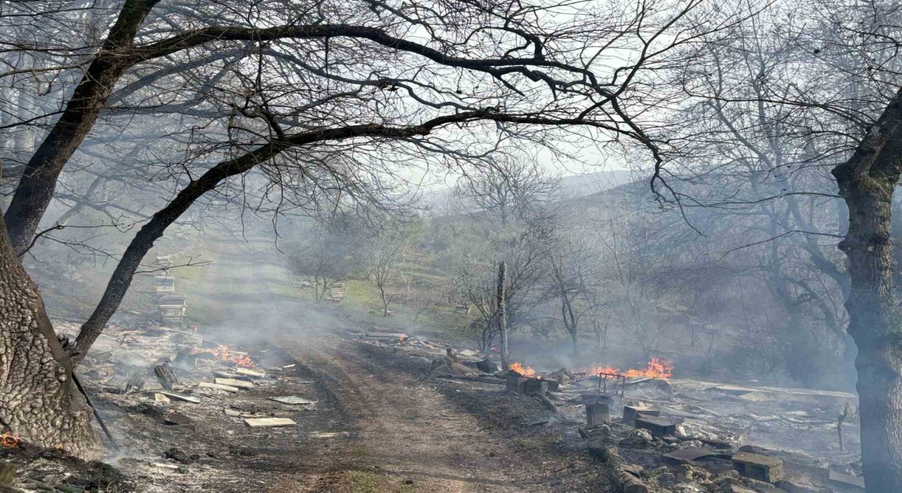 Gönende orman yangını: Müdahale sürüyor