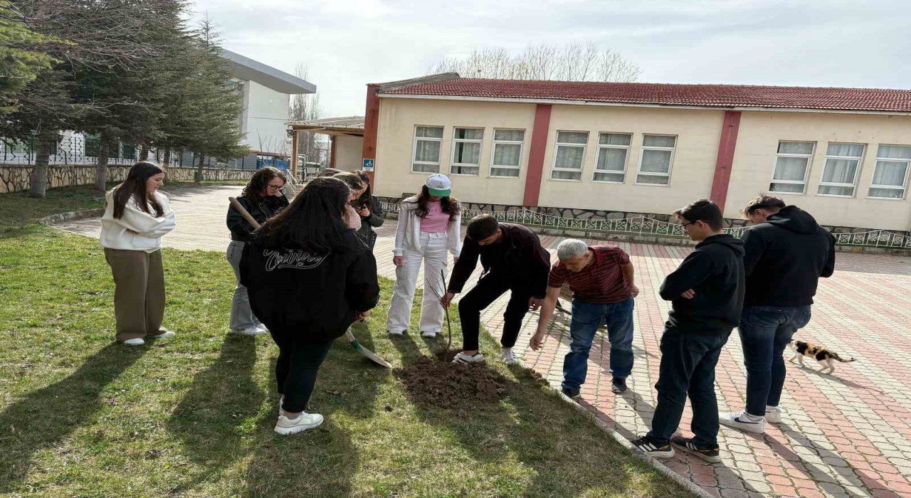 Hisarcık MYOda ağaçlandırma etkinliği