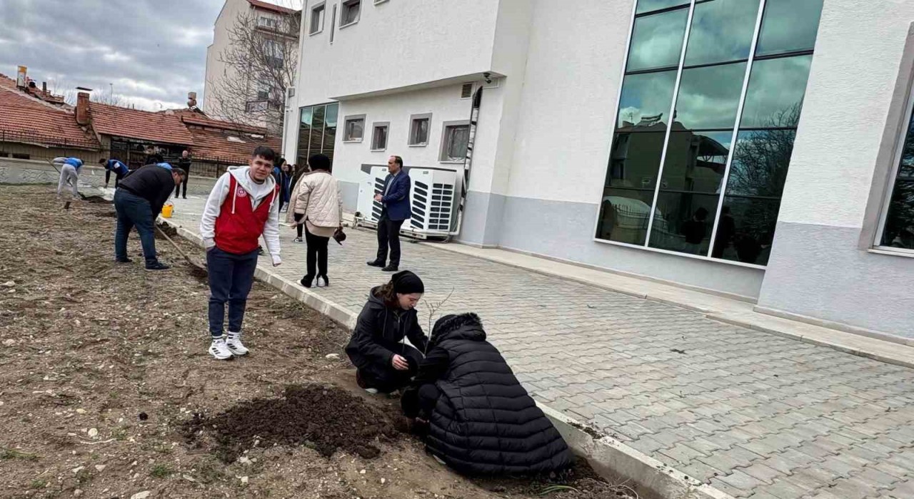 Hisarcıkta öğrenciler fidan dikti