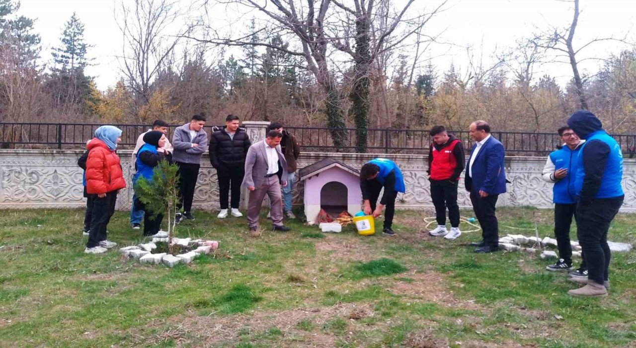 Hisarcıkta sokak hayvanları için mama bırakıldı