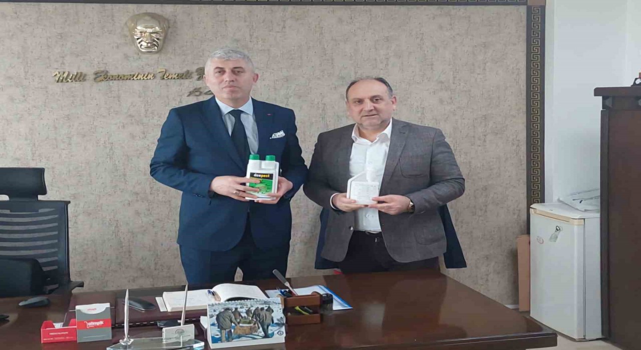 İlkadım Belediyesinden kahverengi kokarca mücadelesine ilaç desteği