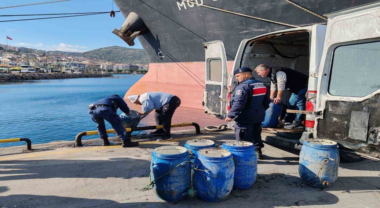 İzmirde yasadışı yollarla avlanan deniz patlıcanları denize salındı