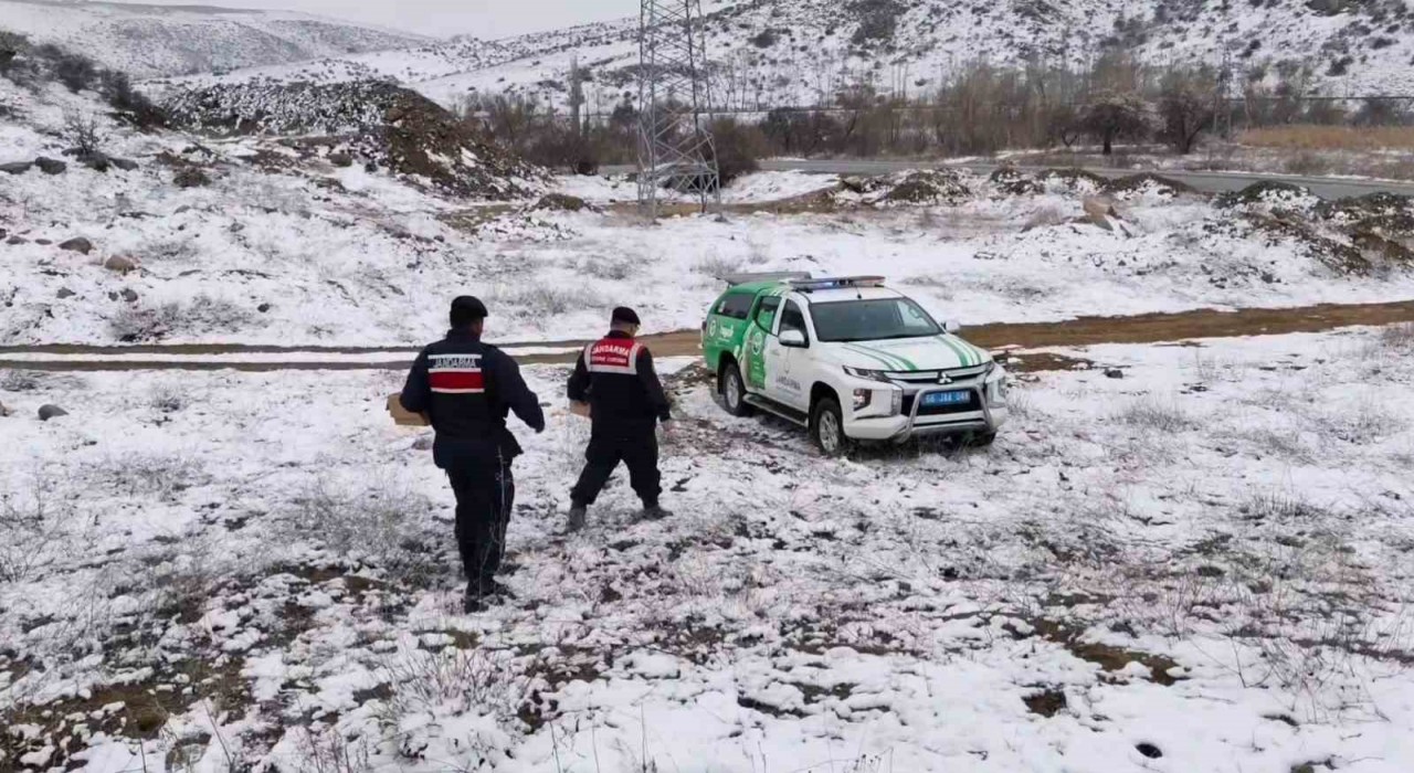 Jandarma ekipleri doğadaki canlıları unutmadı