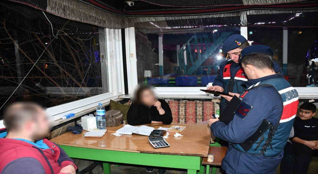Jandarmadan Bozdoğanda ‘ŞOK uygulaması