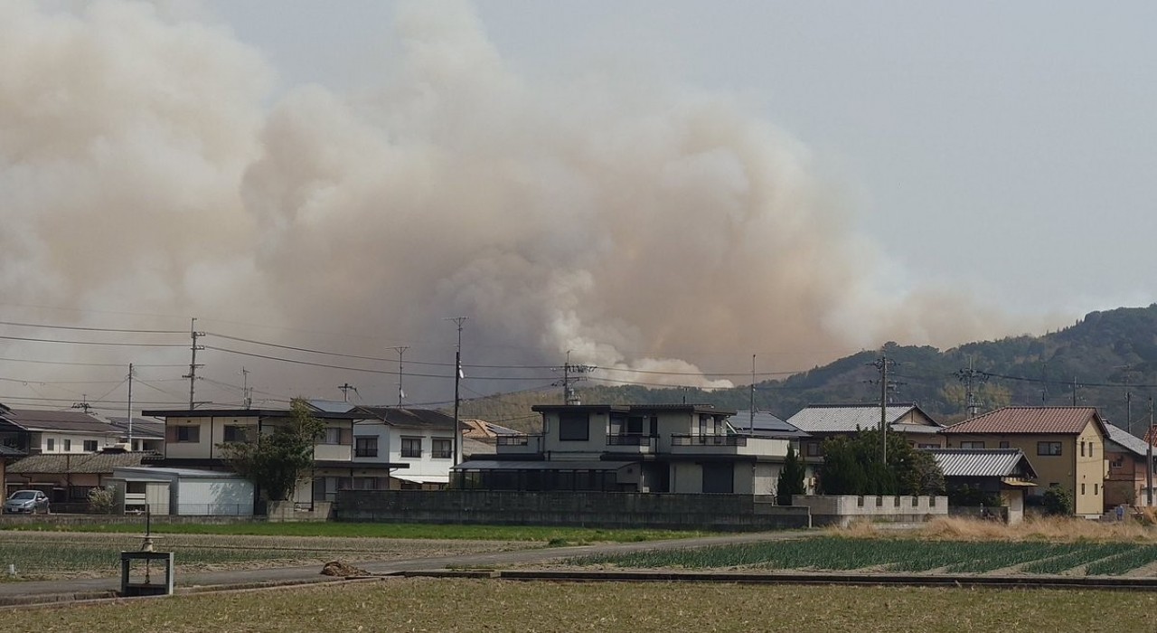 Japonyadaki orman yangınları devam ediyor: 514 hektar alan yandı, 16 bin ev elektriksiz kaldı