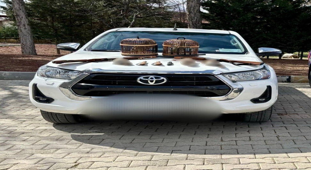 Kaçak avcıları jandarma yakaladı