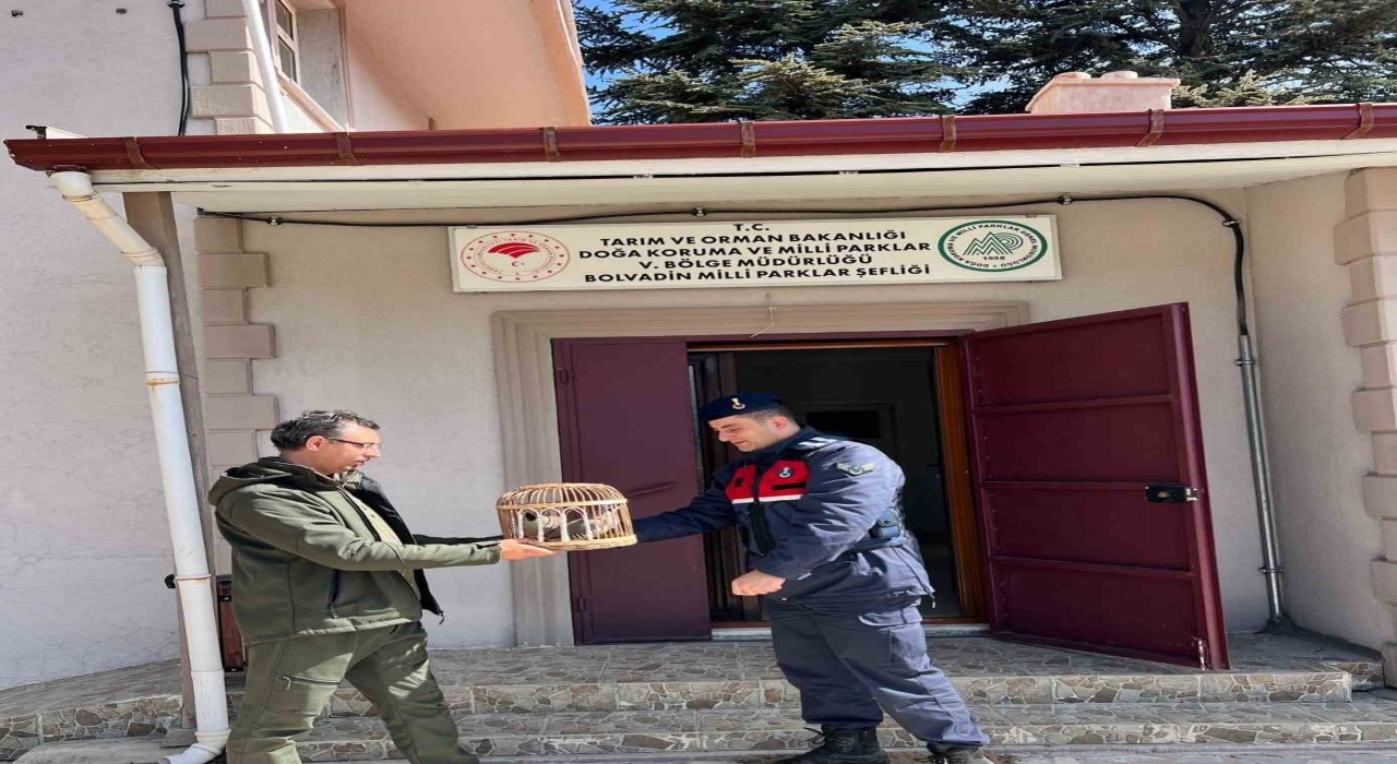 Kaçak avlanmaya geçit yok
