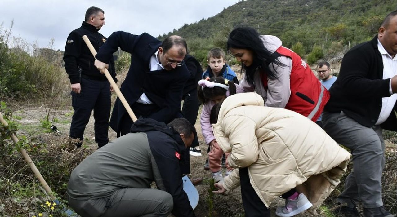 Kadirli'de Aile Ormanı Kuruldu