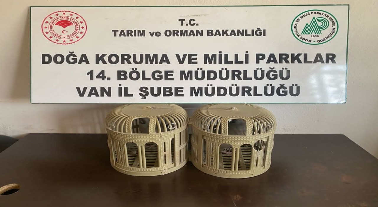 Kafesle kaçak avcılık yapan şahsa 43 bin lira idari para cezası kesilecek