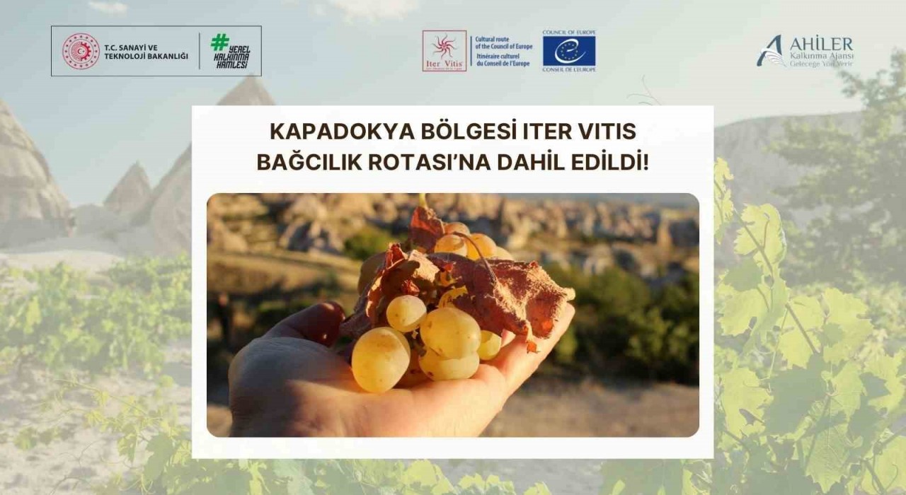 Kapadokya Bölgesi Iter Vitis Bağcılık Rotasına dâhil edildi