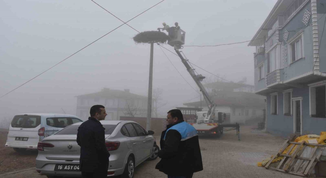 Karacabeydeki leylek yuvalarında geleneksel temizlik devam ediyor