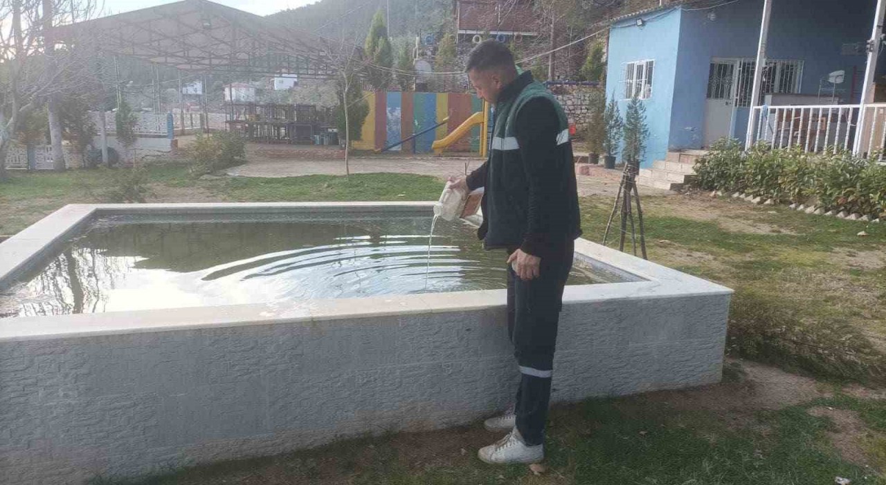 Karacasuda sivrisinekle mücadele başladı