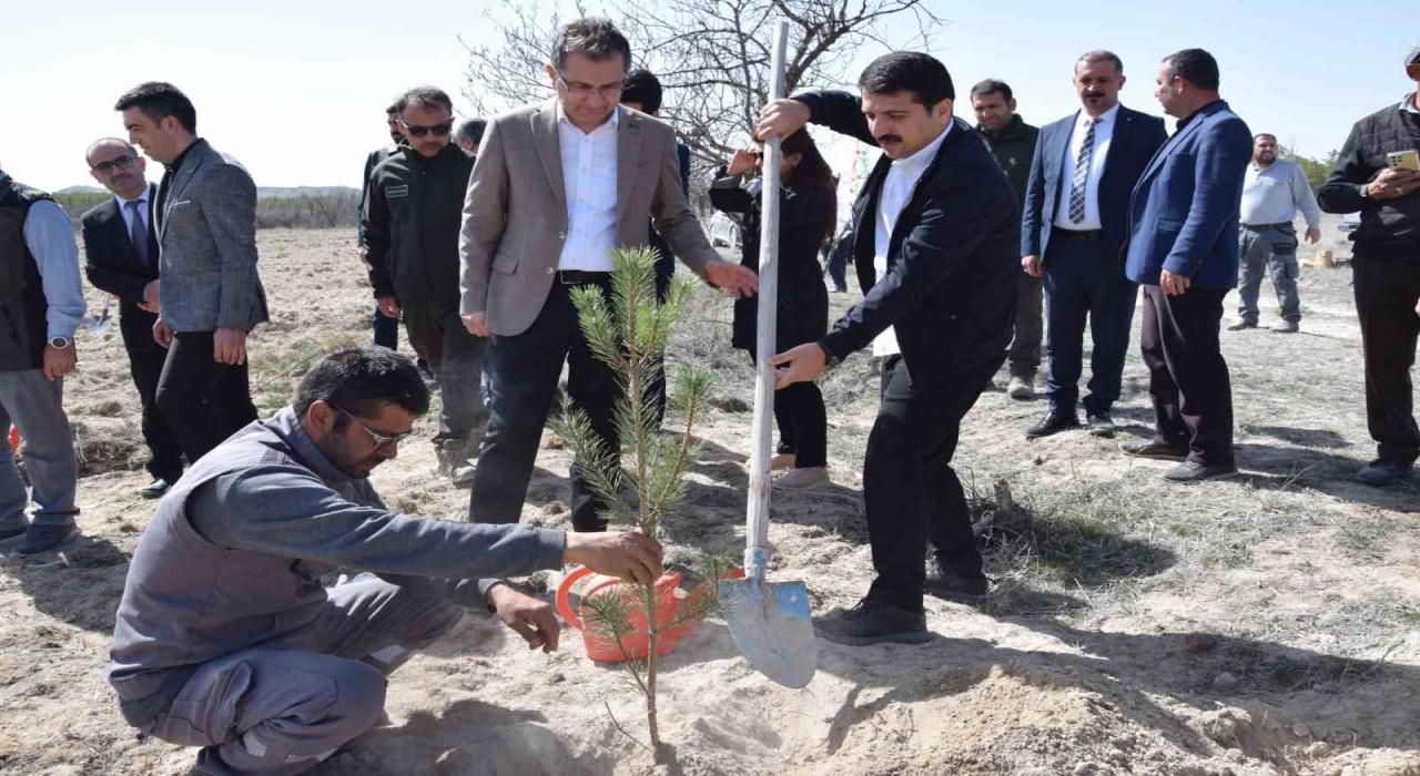 Karapınarda Orman Haftası etkinliği