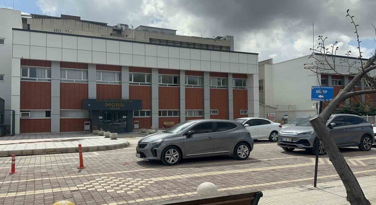 Kardeşinin ve kızının mezarını ziyaret eden kadın, bir gün sonra hayatını kaybetti