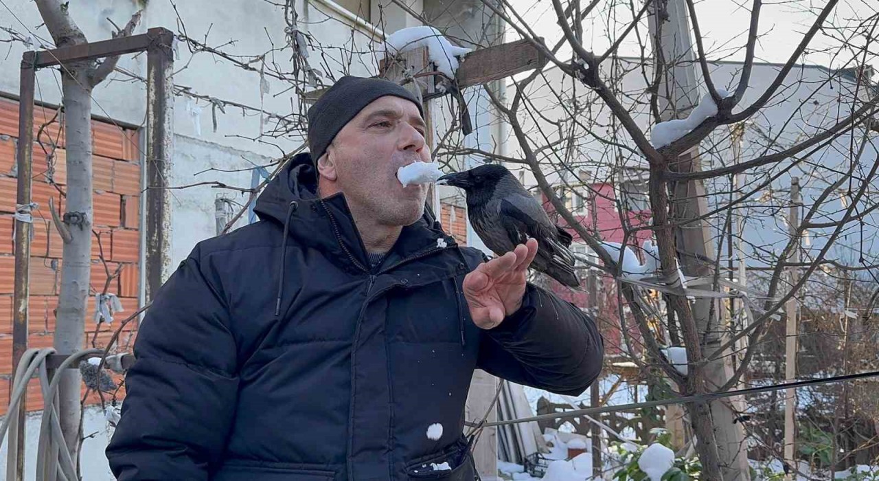 Karganın kar banyosu keyfi: Bir tek şampuanı eksik