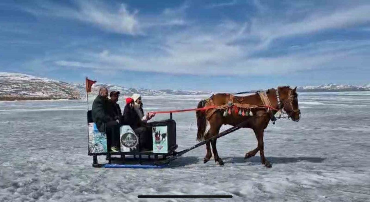 Kars Çıldır Gölünde atlı kızak seferleri devam ediyor