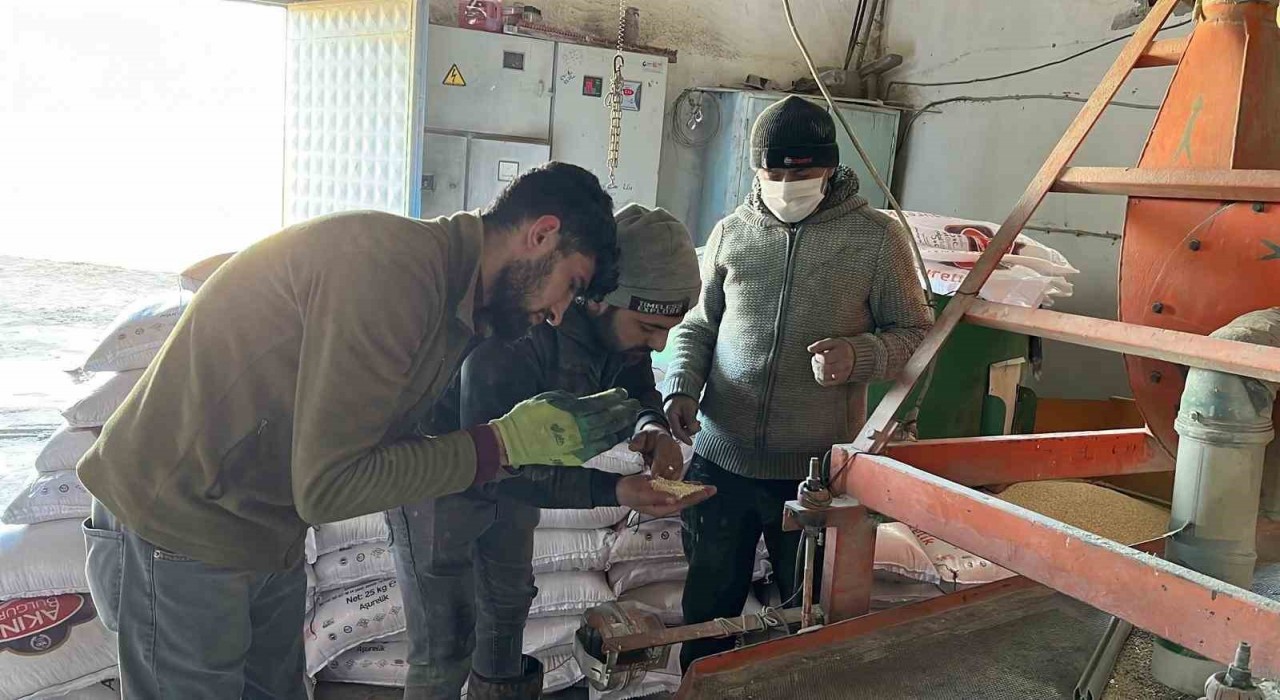 Karsta değirmenlerde mesai başladı