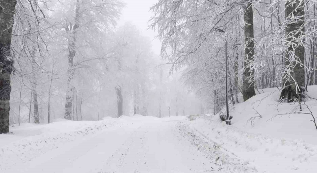 Kartepede lapa lapa kar yağışı: O bölge beyaza büründü