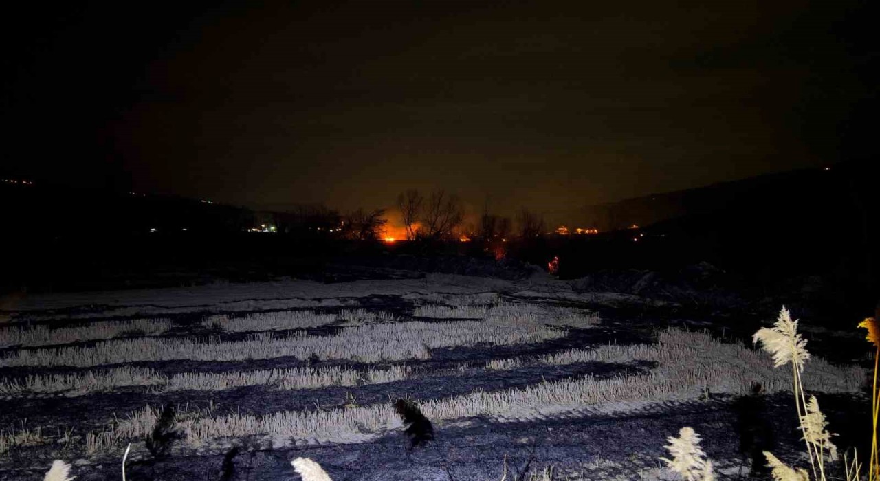 Kastamonuda arazi yangını