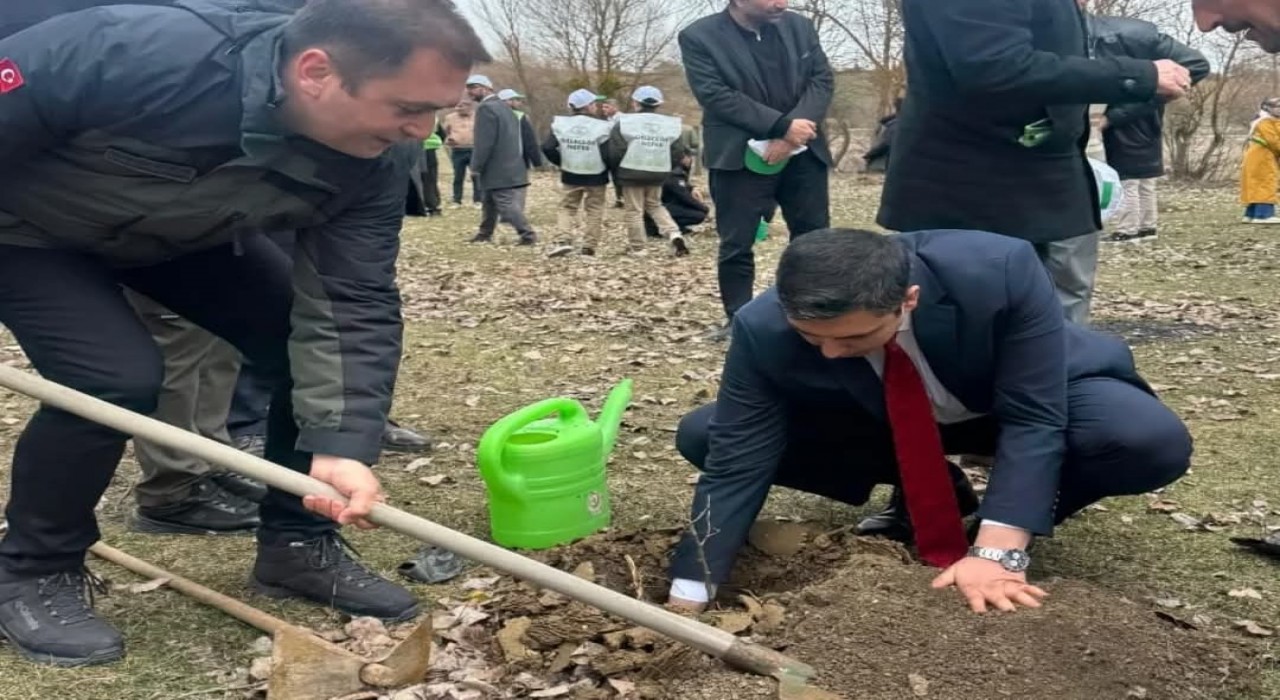 Kastamonuda şehit ve gaziler için fidan dikildi