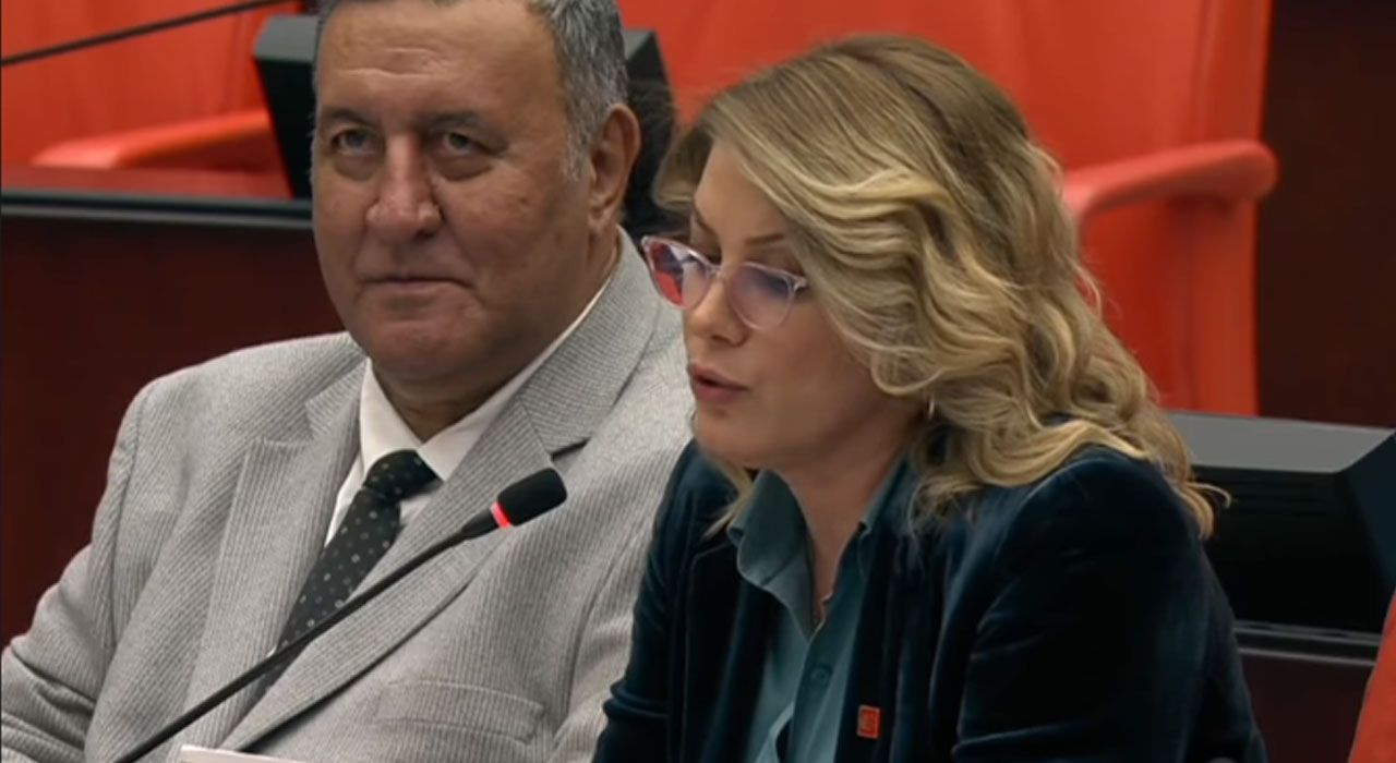 Kaya; "Yer Fıstığı Üretimi Azalma Tehlikesiyle Karşı Karşıya"