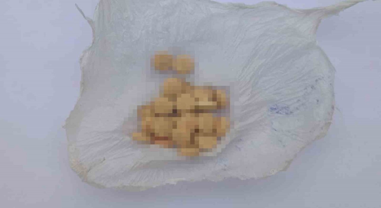 Kırıkkalede uyuşturucu madde operasyonu: 2 gözaltı