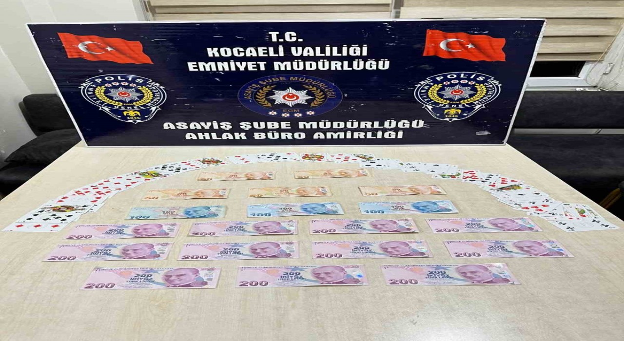 Kocaelide kumar baskını