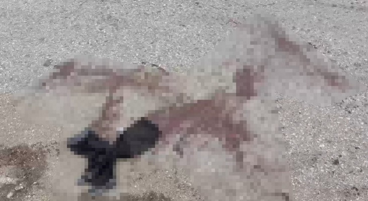 Komşu iki esnaf sopalar ile birbirine girdi: 7 yaralı