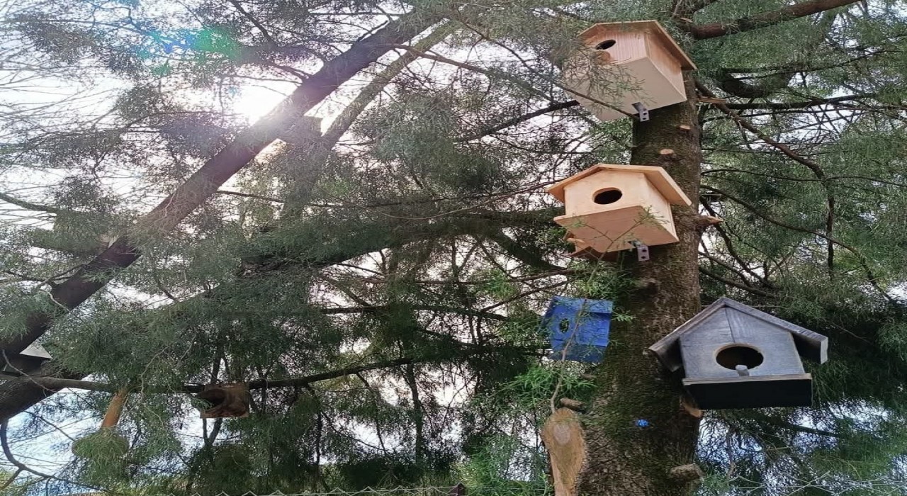 Köyceğizli minikler kuşlar için yuva hazırladı