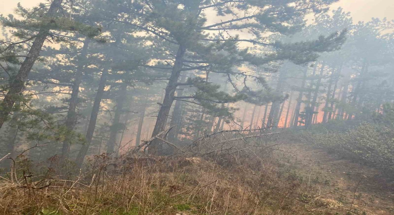 Kütahyada orman yangını