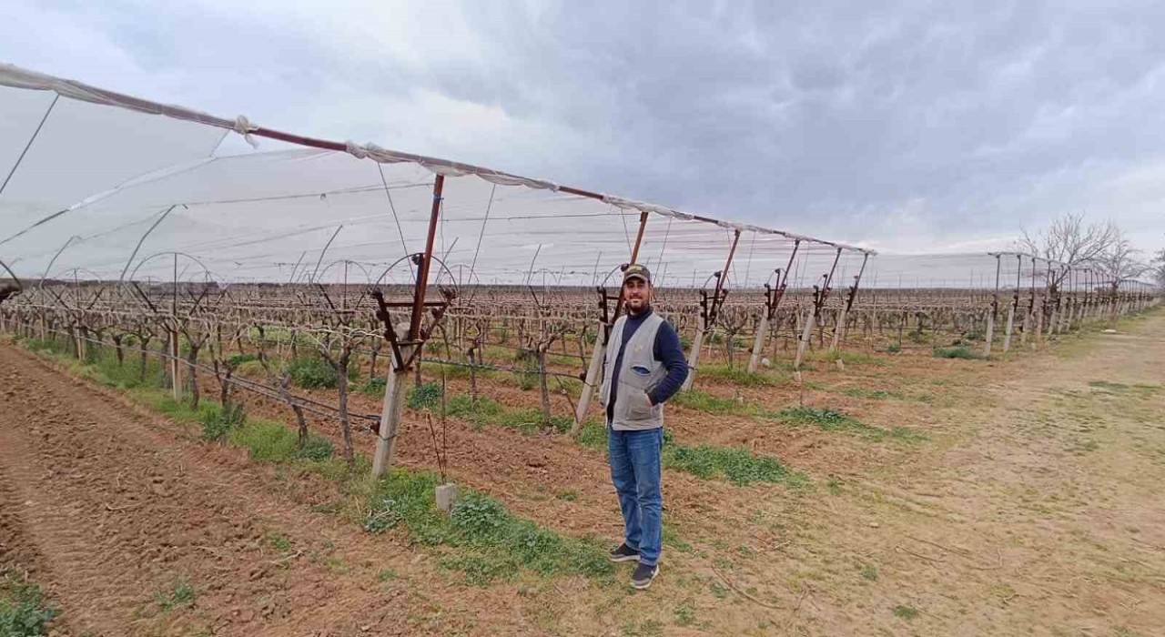 Manisalı çiftçiler don ve dolu riskine karşı tedbir almaya başladı