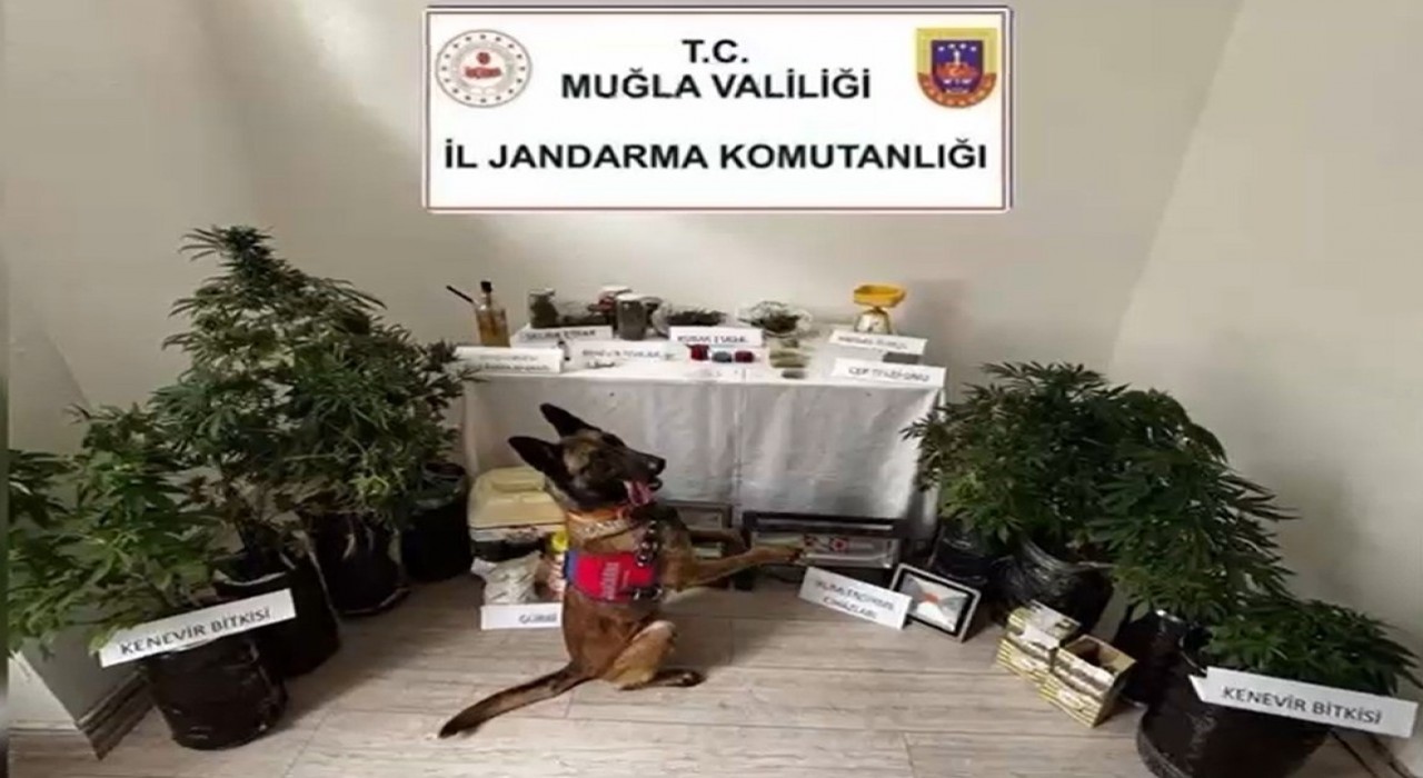 Marmariste uyuşturucu operasyonu: 1 tutuklama