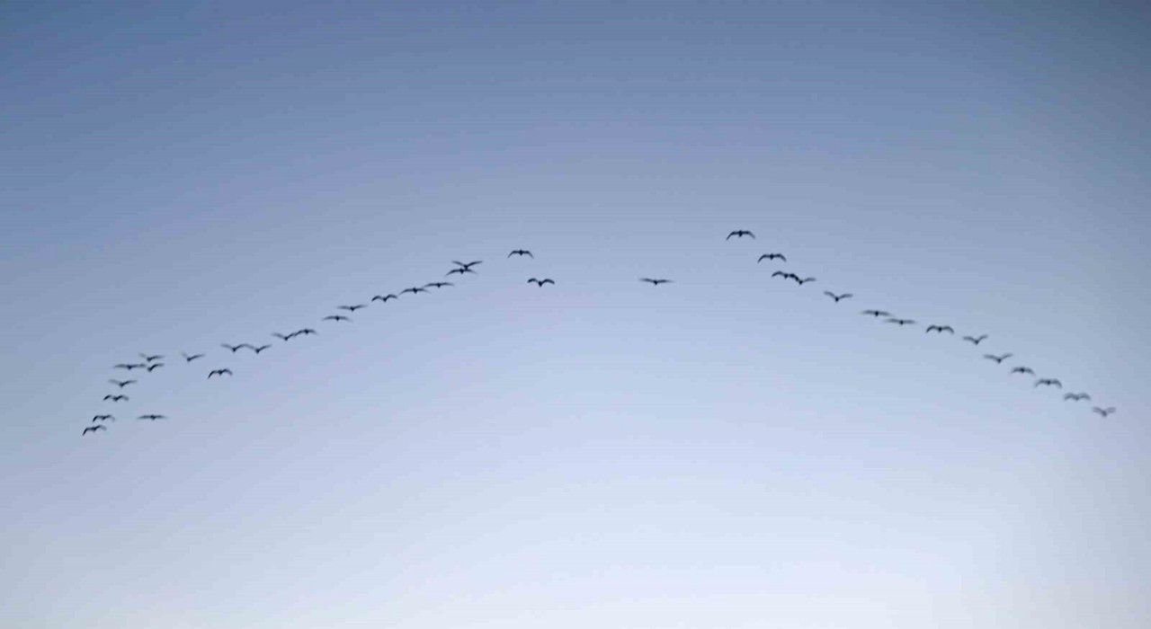 Mart ayıyla birlikte göçmen kuşlar geri dönmeye başladı