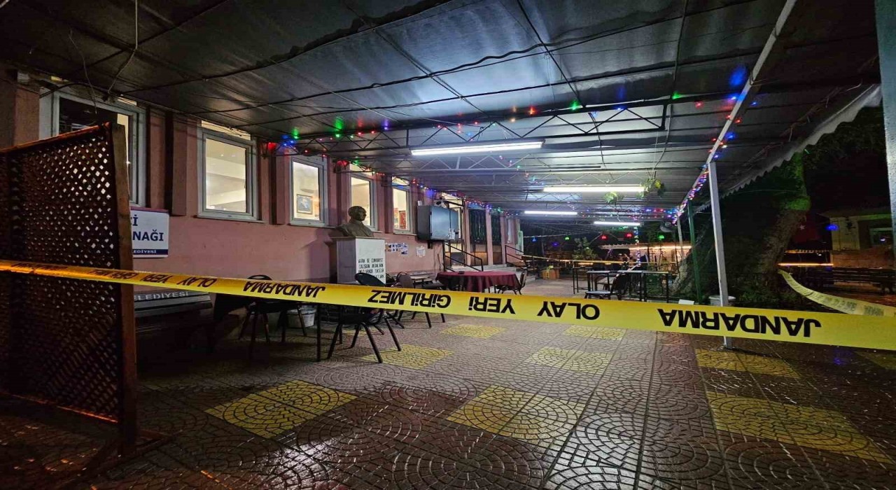 Meclis üyesi adayını öldüren şahıs tutuklandı