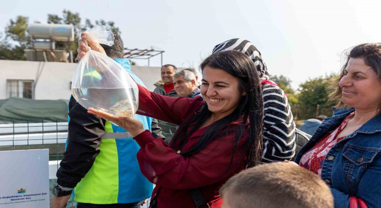 Mersinde kadınlar haşere mücadelesi için lepistes balığı yetiştirecek