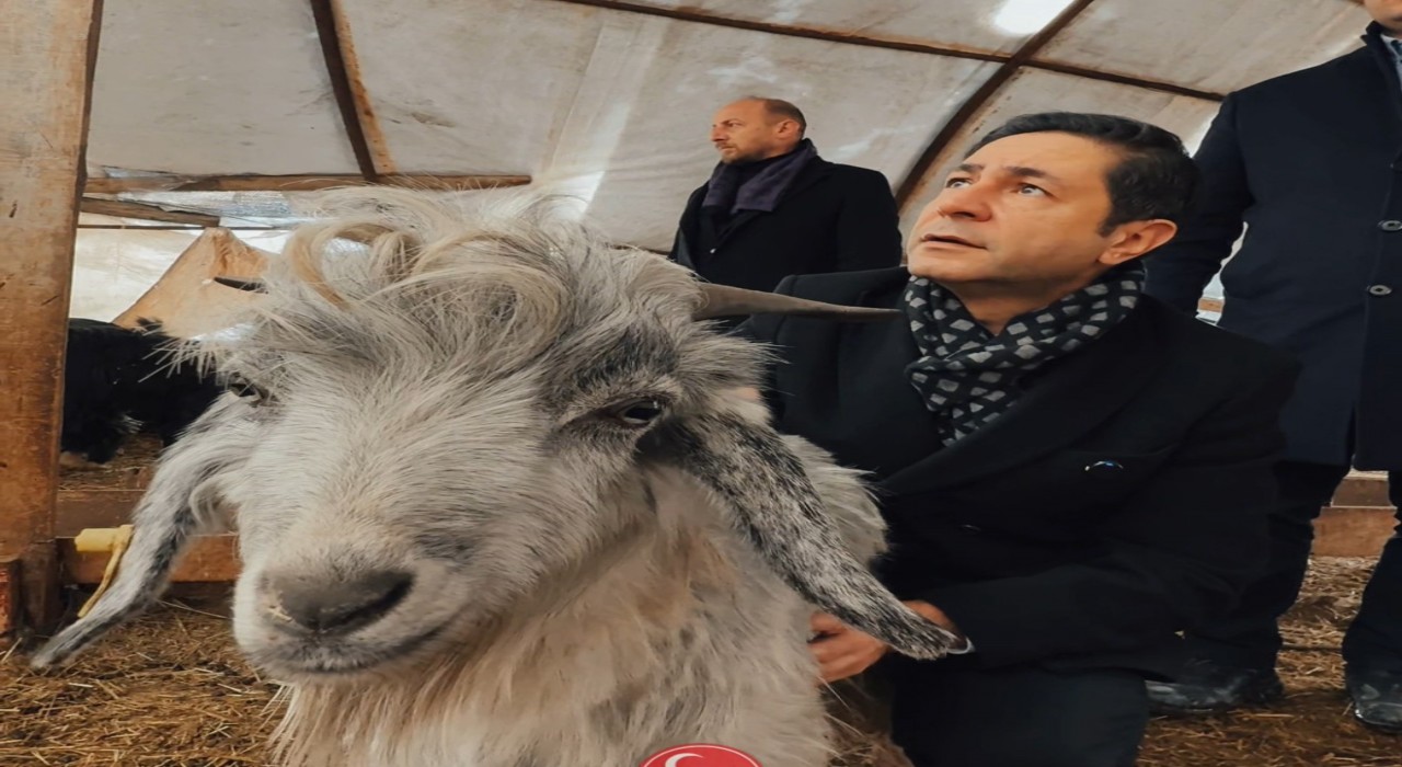 Milletvekili Bulut: Biz bu ülkenin hayvanına, kuşuna, her şeyine aşığız