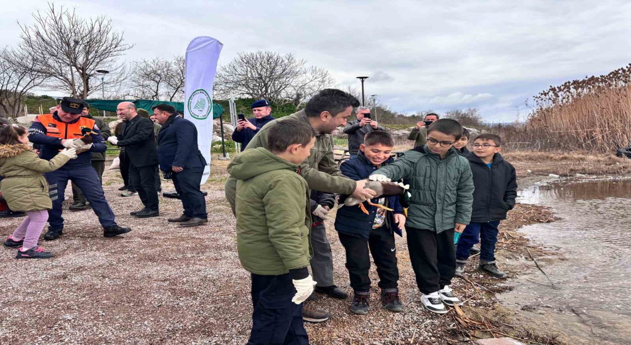 Minik öğrenciler, avuçlarına sığmayan ördekleri doğaya saldı