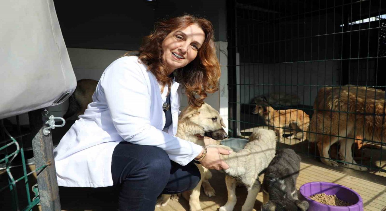 Mudanyada can dostların maması belediyeden