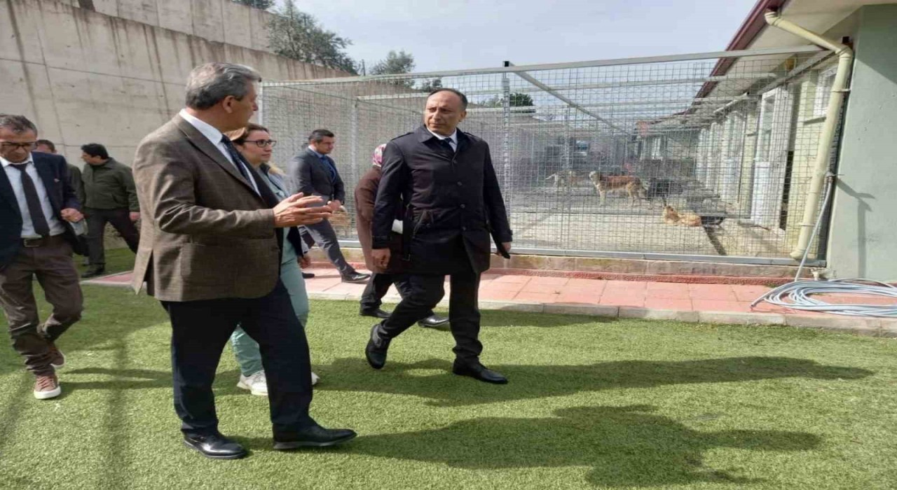 Muğla Büyükşehir Geçici Hayvan Bakım Evinde inceleme