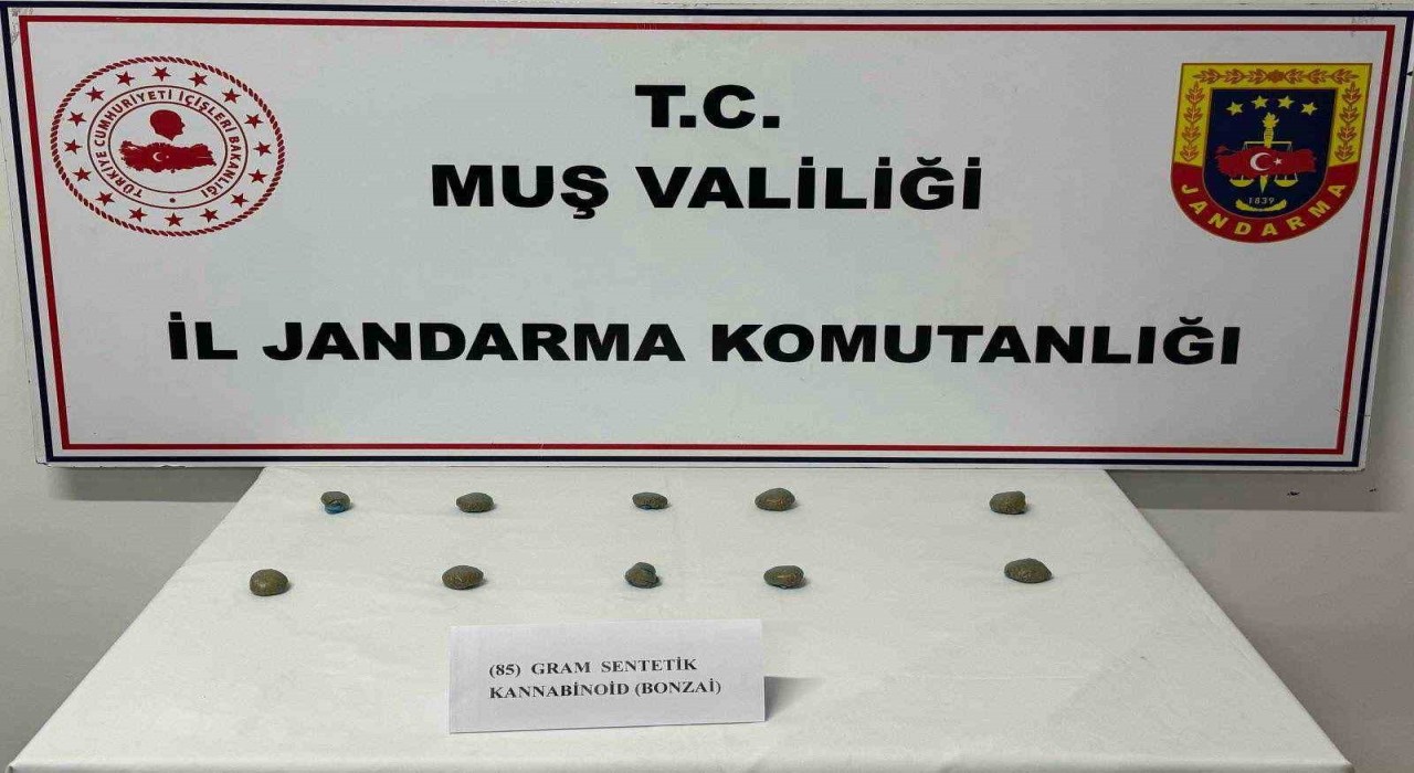 Muşta 206 şahıs yakalandı