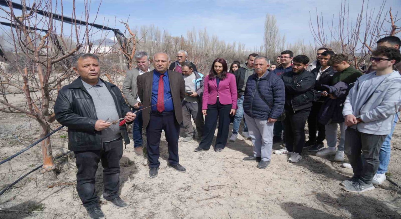 Niğdede çiftçilere meyve ağaçlarında aşılama eğitimi