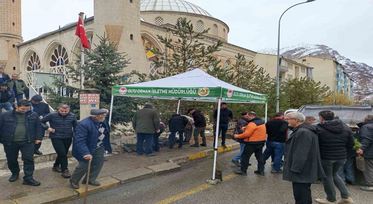 Oltuda ücretsiz fidan dağıtımı yapıldı