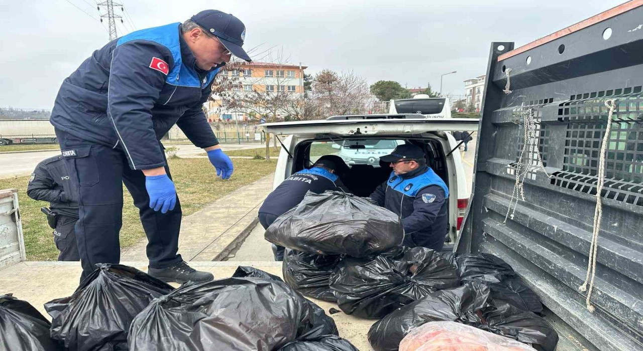 Orduda 300 kilogram kaçak ve kokmuş kuyruk yağına el konuldu