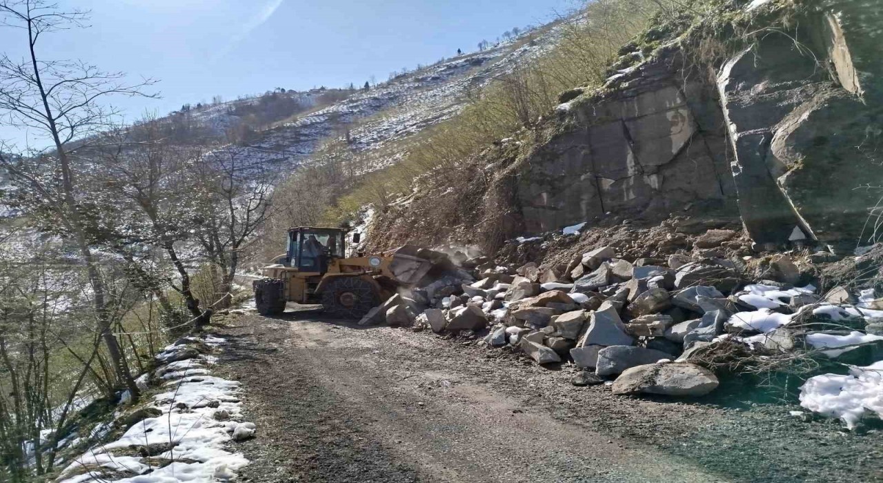 Orduda heyelanlı noktalara müdahale ediliyor