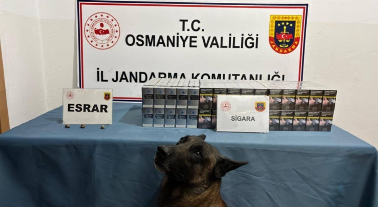 Osmaniye’de Bir Haftada 140 Asayiş Olayı Meydana Geldi