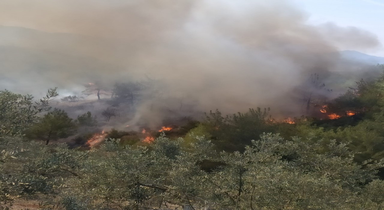 Osmaniyede ormanlık alanda korkutan yangın