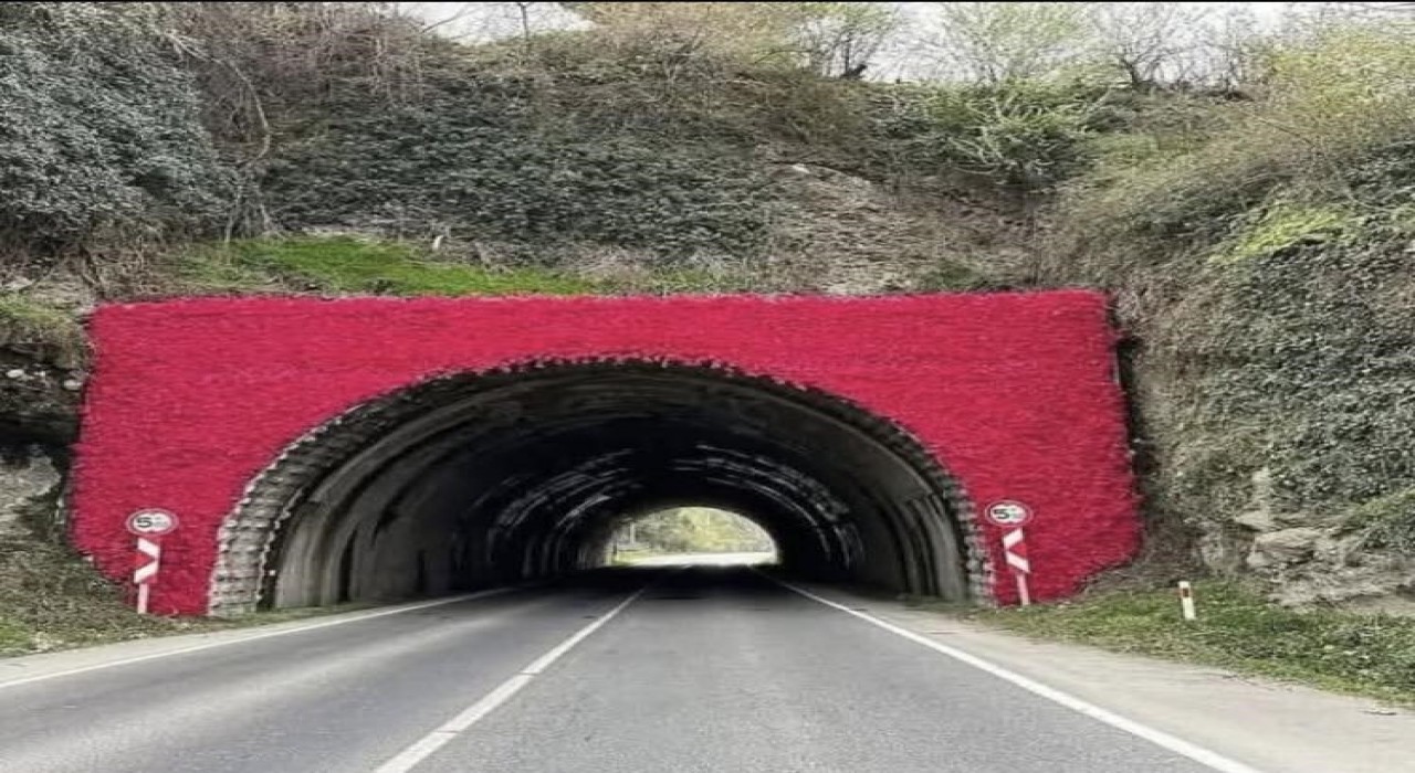 Perşembe Tüneline ‘Cittaslow logosu