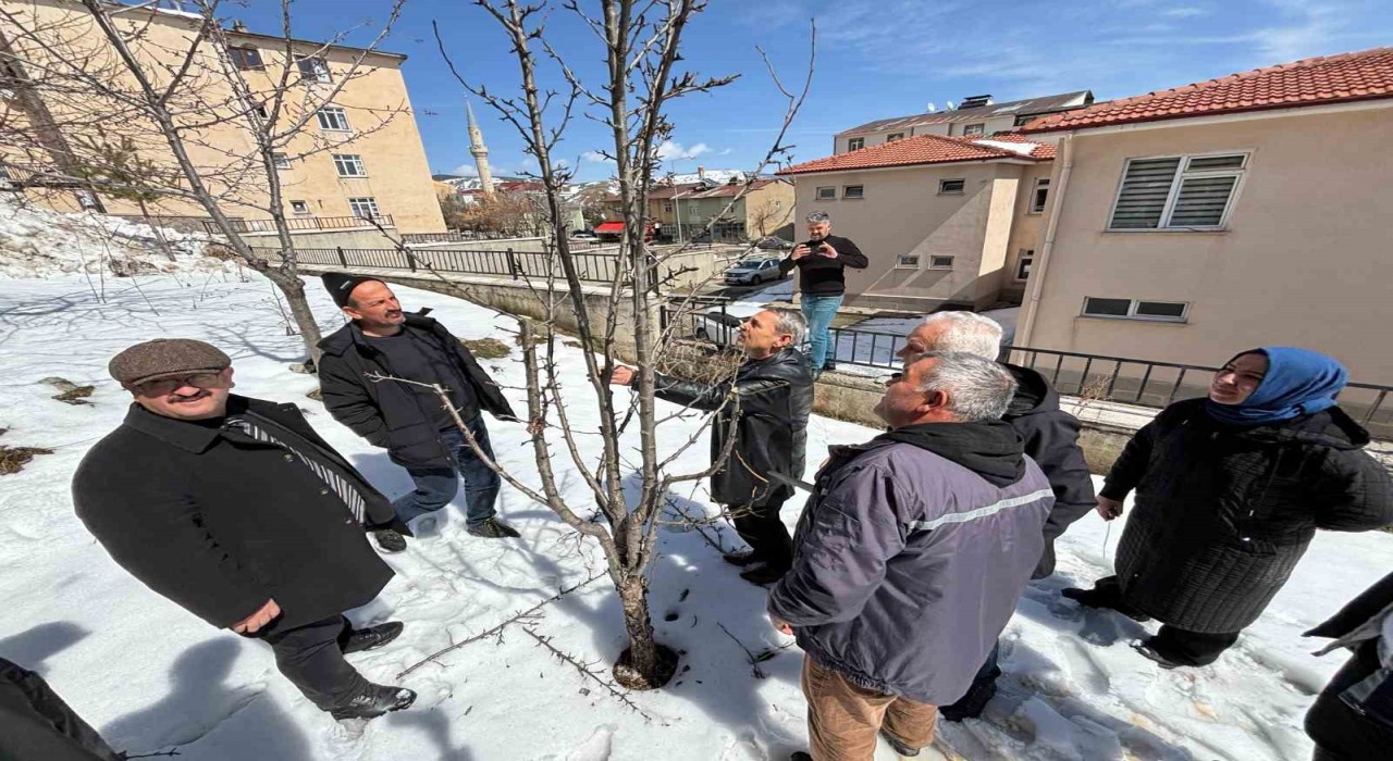 Refahiyede budama eğitimi
